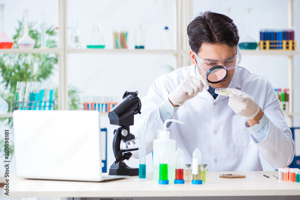 Male biochemist working in the lab on plants Male biochemist working in the lab on plants