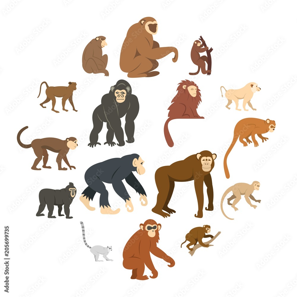 Raster Graphics Examples Monkey Monkey types icons set in flat style isolated vector illustration Stock ...