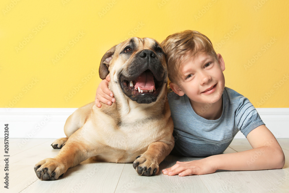Cute little child with his dog near color wall Cute little child with his dog near color wall