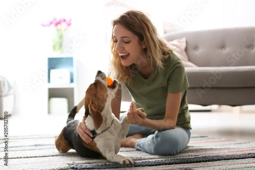 Obraz Młoda kobieta bawić się z jej psem w domu