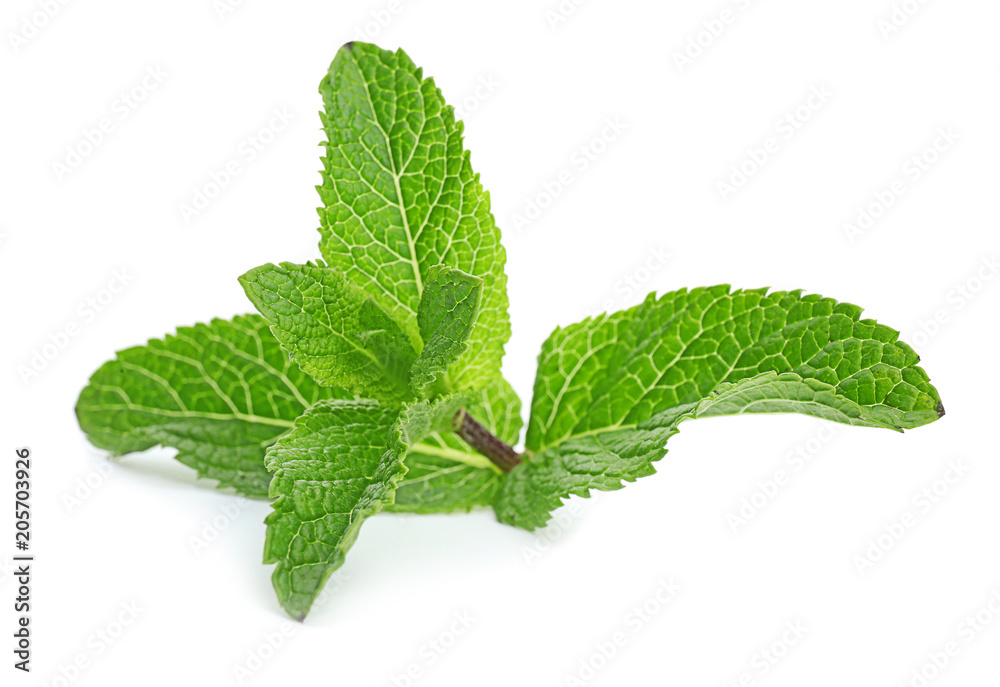Fresh green mint leaves on white background Fresh green mint leaves on white background
