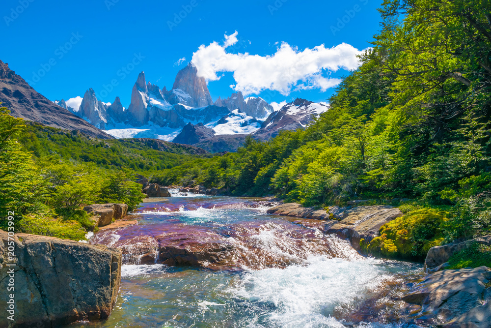 Wonderful view of Mount Fitz Roy near the Poincenot camp in Los Glaciares National Park Patagonia - El Chalten - Argentina - obrazy, fototapety, plakaty 
