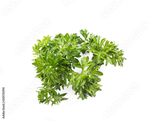 Aromatic fresh green parsley on white background