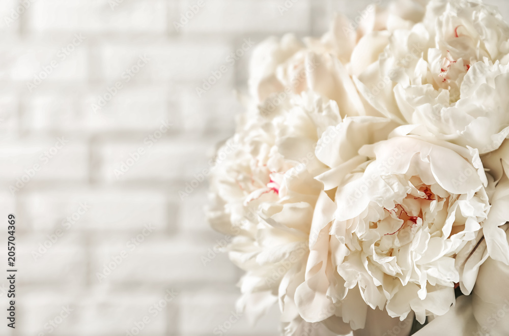 Beautiful blooming peony flowers on light background