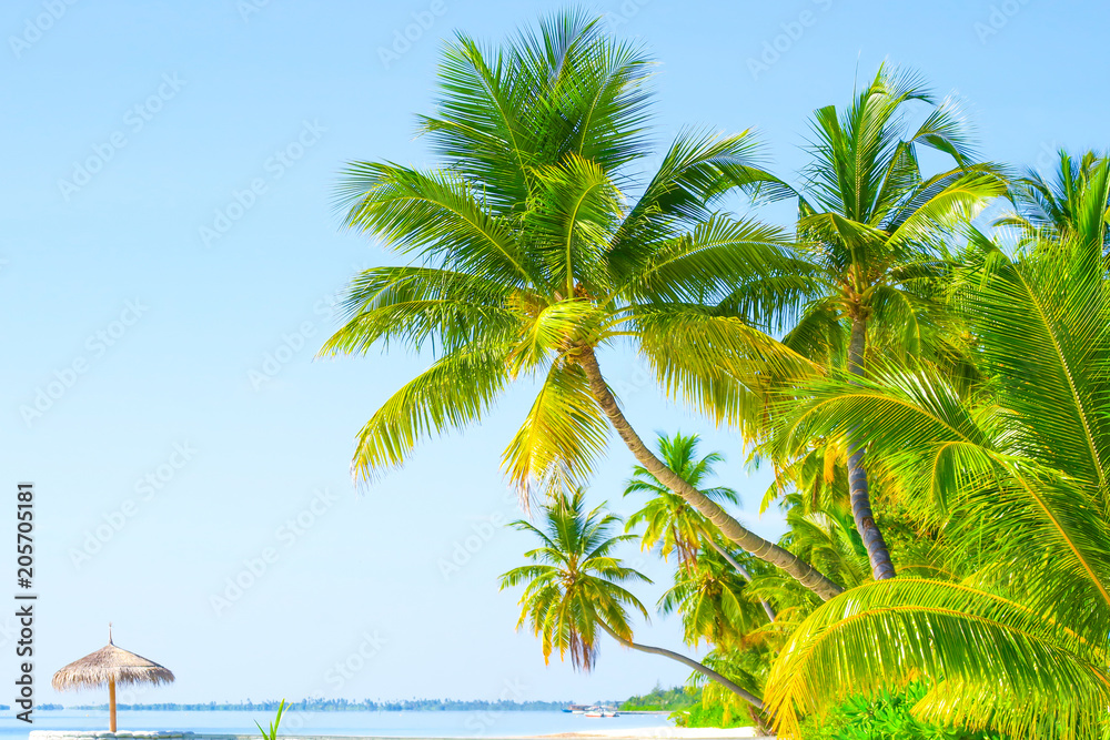 Fototapeta premium Luxury tropical vacation