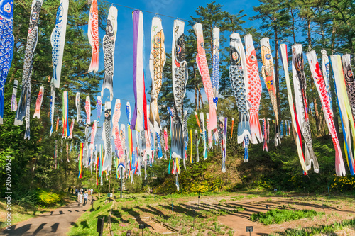 Colorful carp of Koinobori festival or carp-streamer kite  to celebrate Children's Day in Nagano Prefecture, Japan.