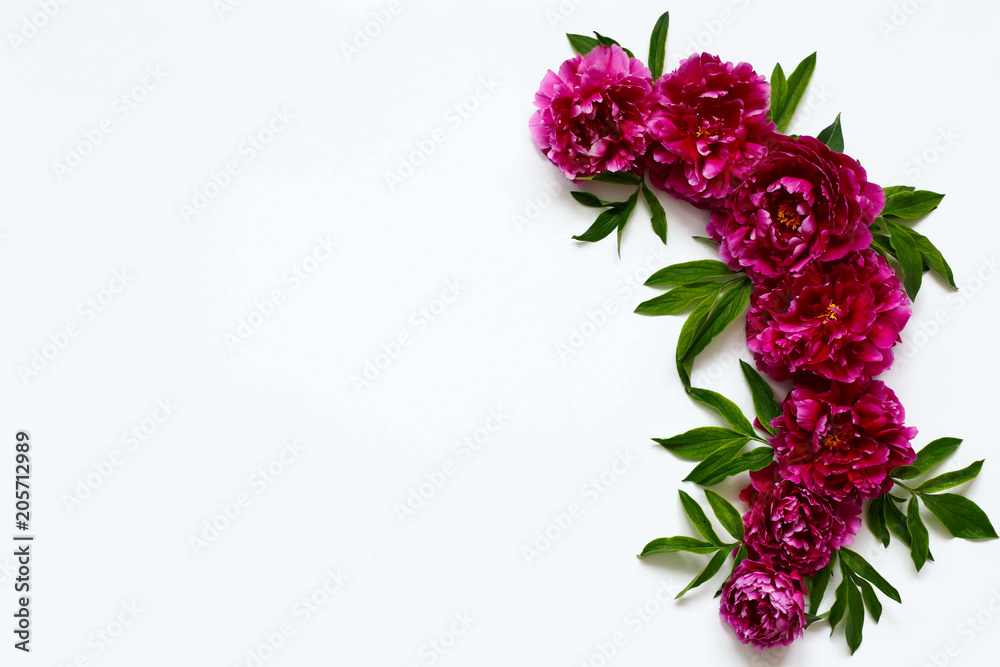 flower  composition of peonies on a white background