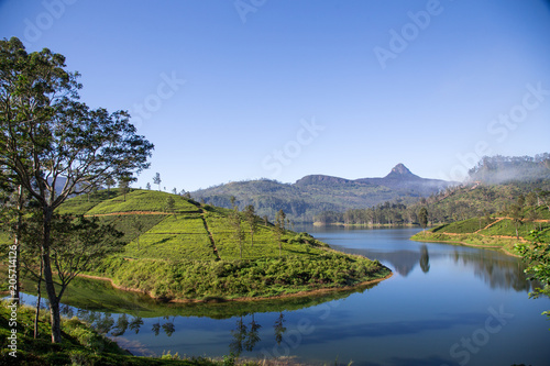 beautiful landscape of sri lanka. river, mountains and tea plantations