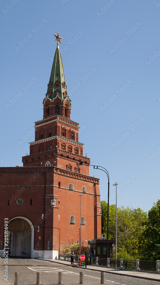 Kremlin Wall and Tower