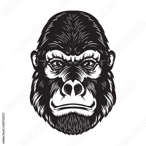 Gorilla ape head illustration on white background. Design elements for poster  emblem  sign.