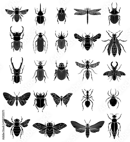 Set of insects illustrations on white background. Design elements for logo, label, emblem, sign, badge.