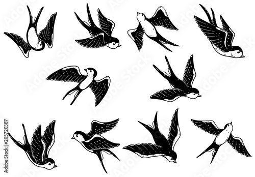 Set of hand drawn swallow illustrations on white background. Design elements for poster, card.