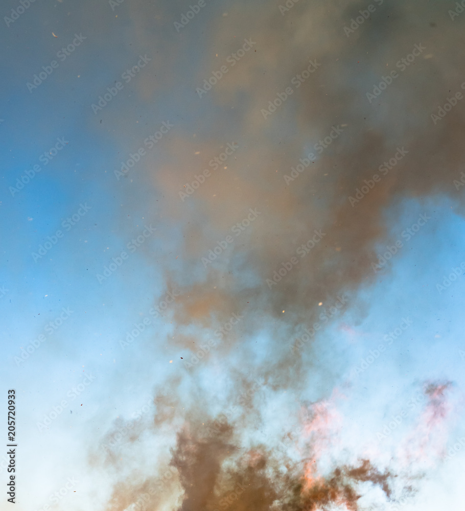 Obraz premium Photo of thick heavy brown yellow smoke from burning branches of pine tree, birch, spruce and other trees from swedish forest with flying ash and other fire products pieces in big bonfire, blue sky