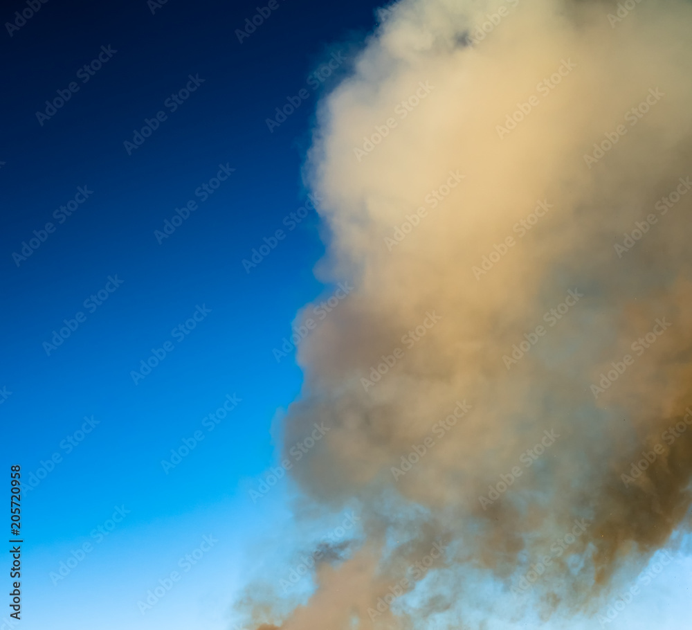 Photo of thick heavy brown yellow smoke from burning branches of pine tree, birch, spruce and other trees from swedish forest with flying ash and other fire products pieces in big bonfire, blue sky