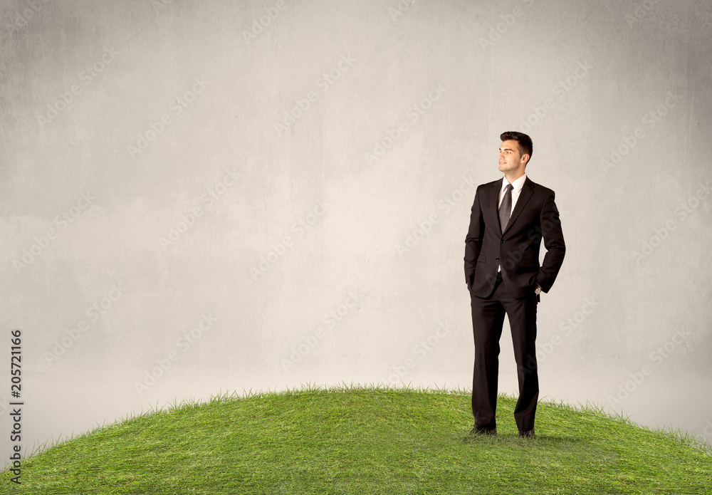A successful caucasian elegant business man standing in small green grass with briefcase in front of clear empty background concept. A successful caucasian elegant business man standing in small green grass with briefcase in front of clear empty background concept.