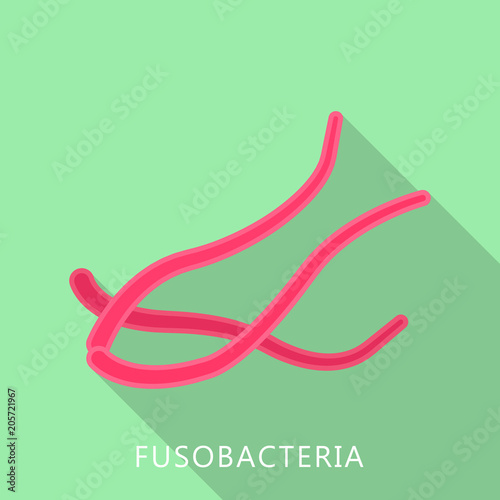 Fusobacteria icon. Flat illustration of fusobacteria vector icon for web design photo