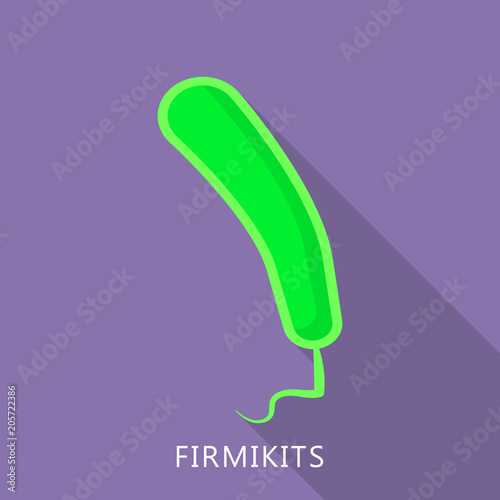 Firmikits icon. Flat illustration of firmikits vector icon for web design