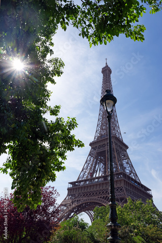 Eiffel tower and Champs de Mars garden