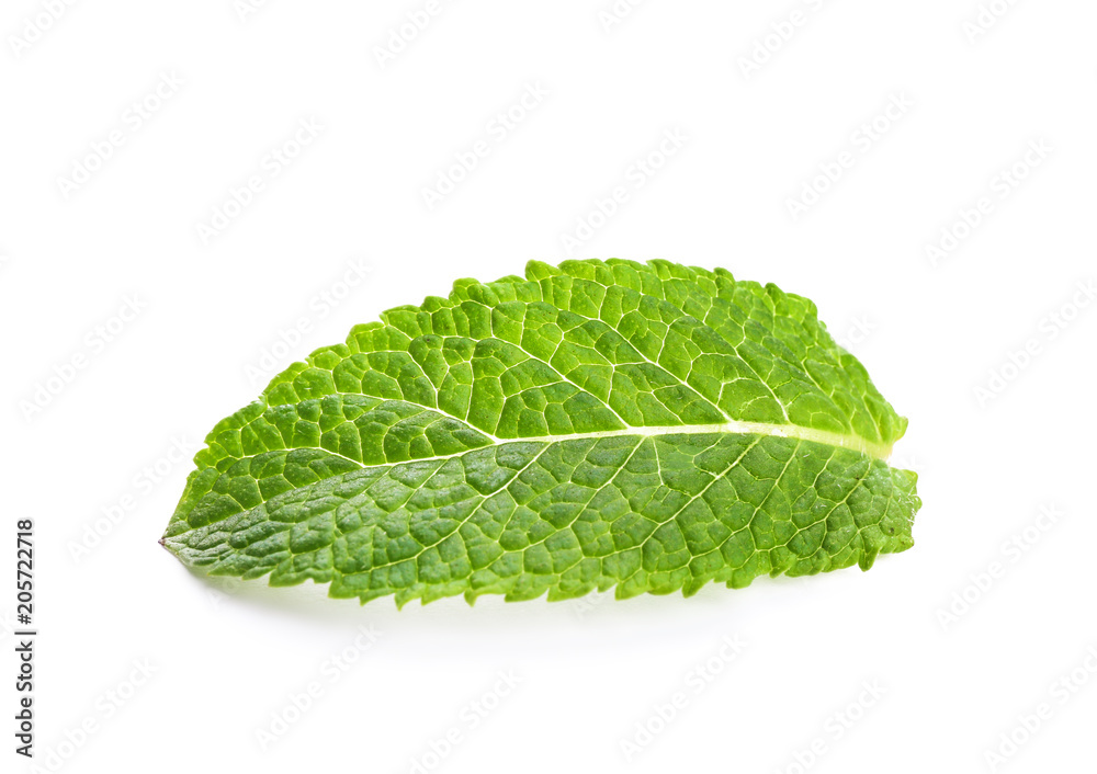 Fresh green mint leaf on white background Fresh green mint leaf on white background