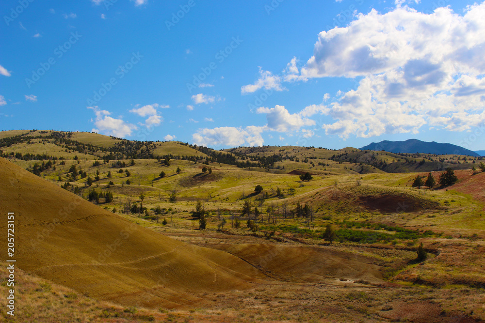 Fototapeta premium Open Field