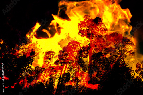 forest in fire. double exposure photo