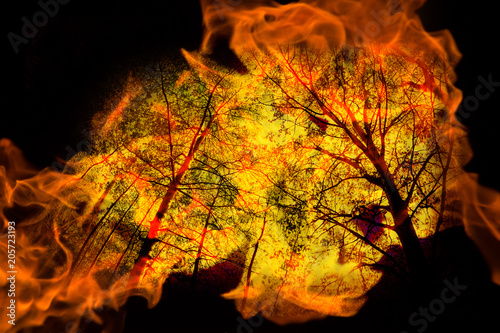 forest in fire. double exposure photo