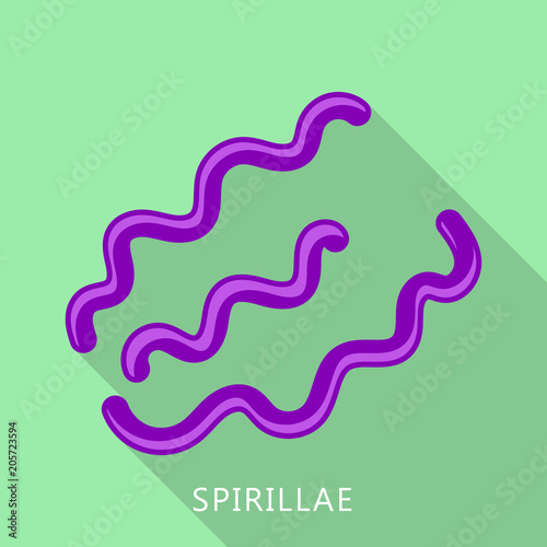 Spirillae icon. Flat illustration of spirillae vector icon for web design