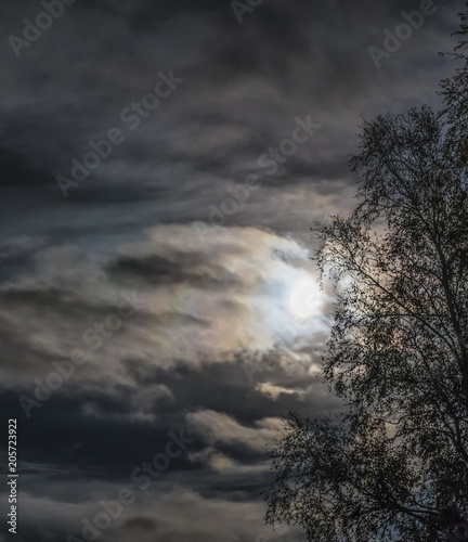 Full moon lights through clouds and birch branches
