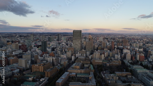 Tableau sur toile 仙台中心部　ドローン空撮4