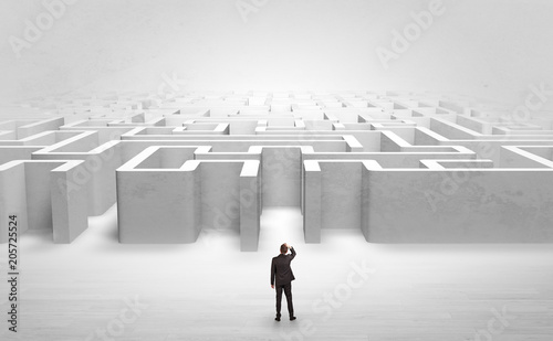Billede på lærred Businessman trying to decide which entrance to choose at the maze