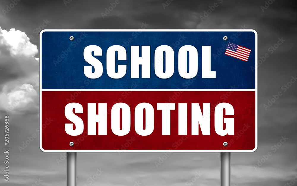 School Shooting in United States of America School Shooting in United States of America
