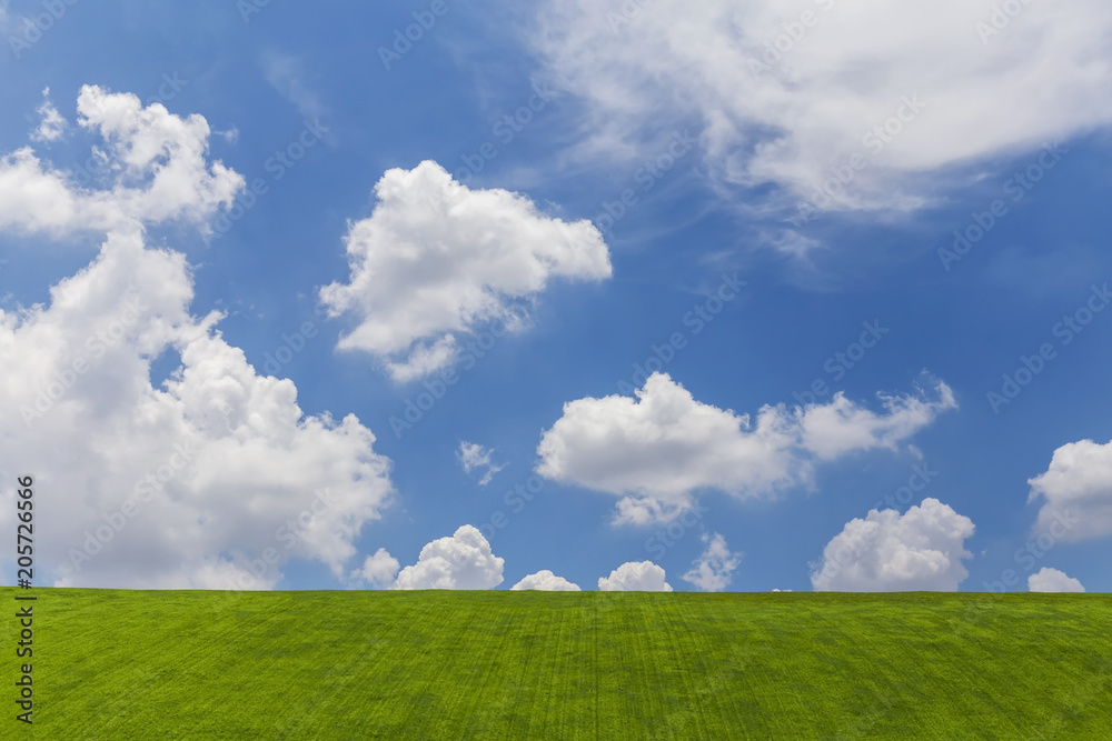 Green grass and blue sky with white clouds Green grass and blue sky with white clouds