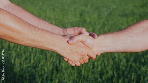 Friendly handshake of two male hands. Against the background of a green wheat field