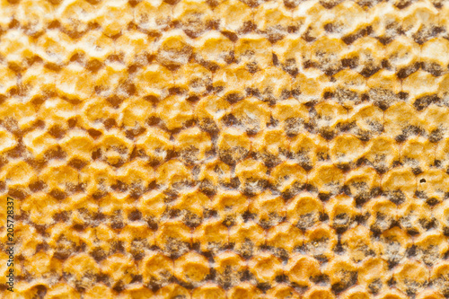 Honeycomb texture