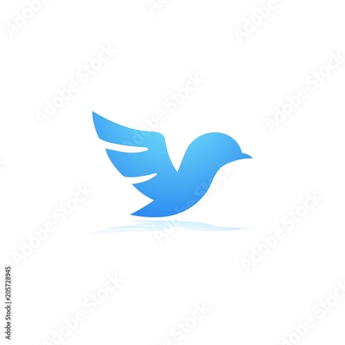 Abstract Bird Logo design vector template, Flying Wings Bird Logo abstract design vector 