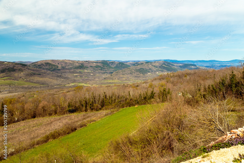 Springtime in the croatian countryside