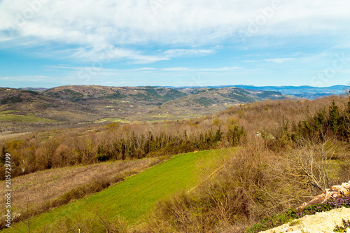 Springtime in the croatian countryside