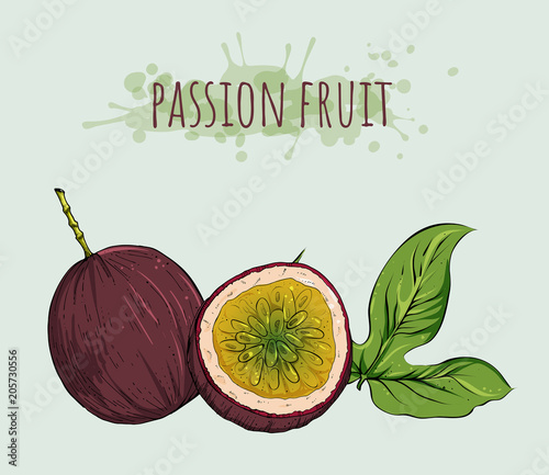 Passion fruit, whole and half with leaf, vector