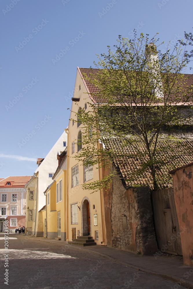 Rue de la vielle ville à Tallinn, Estonie
