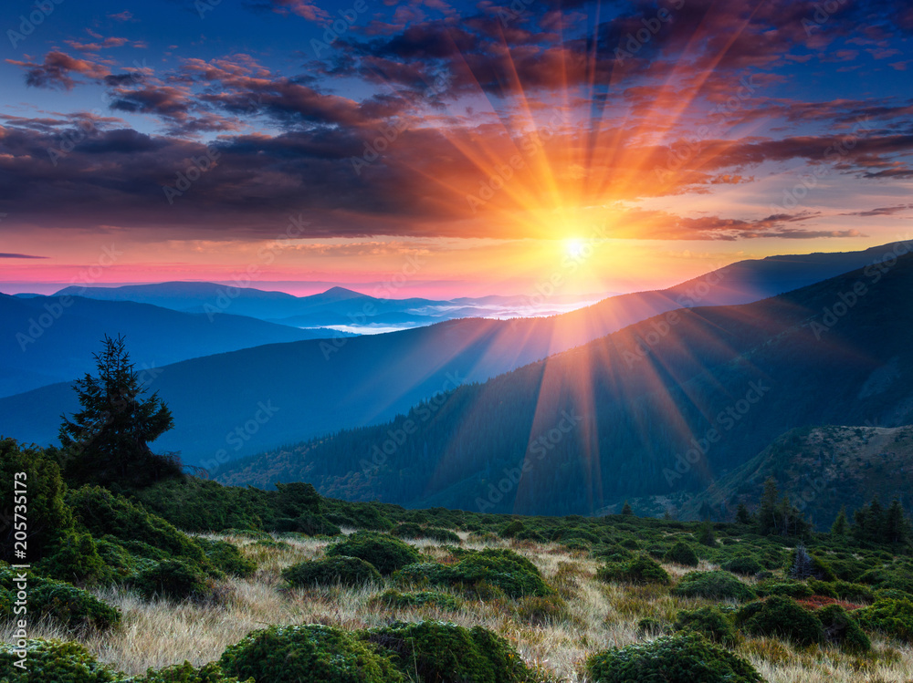 Fototapeta premium Panoramiczny widok kolorowy wschód słońca w górach. Pojęcie przebudzenia dzikiej przyrody, romansu, emocjonalnego przeżycia w duszy, radości w codziennym życiu.