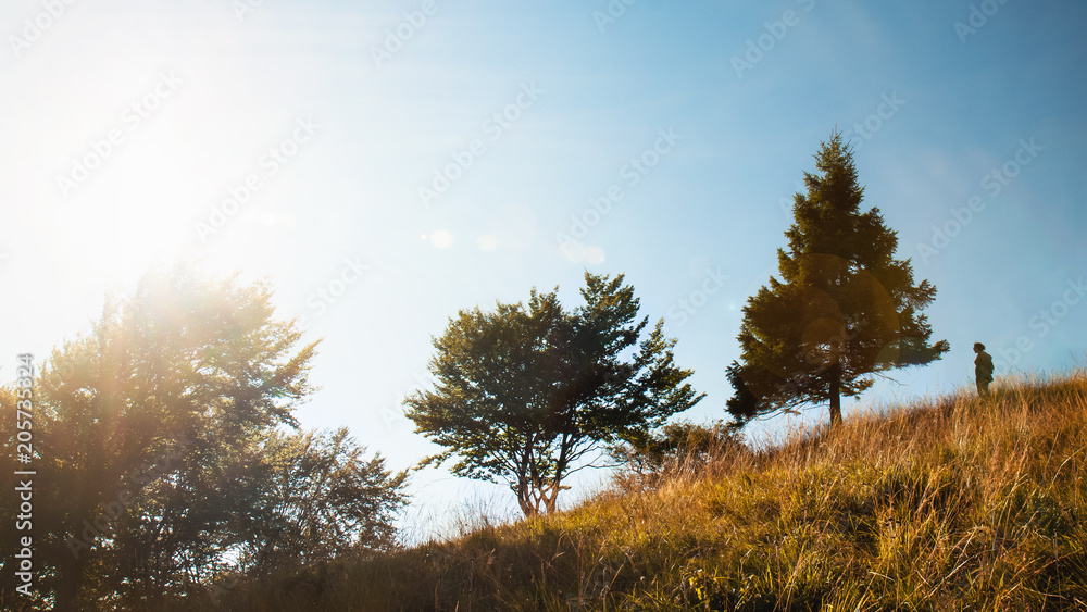woman in the nature, outdoor activity in mountain during summer
woman in the nature, outdoor activity in mountain during summer