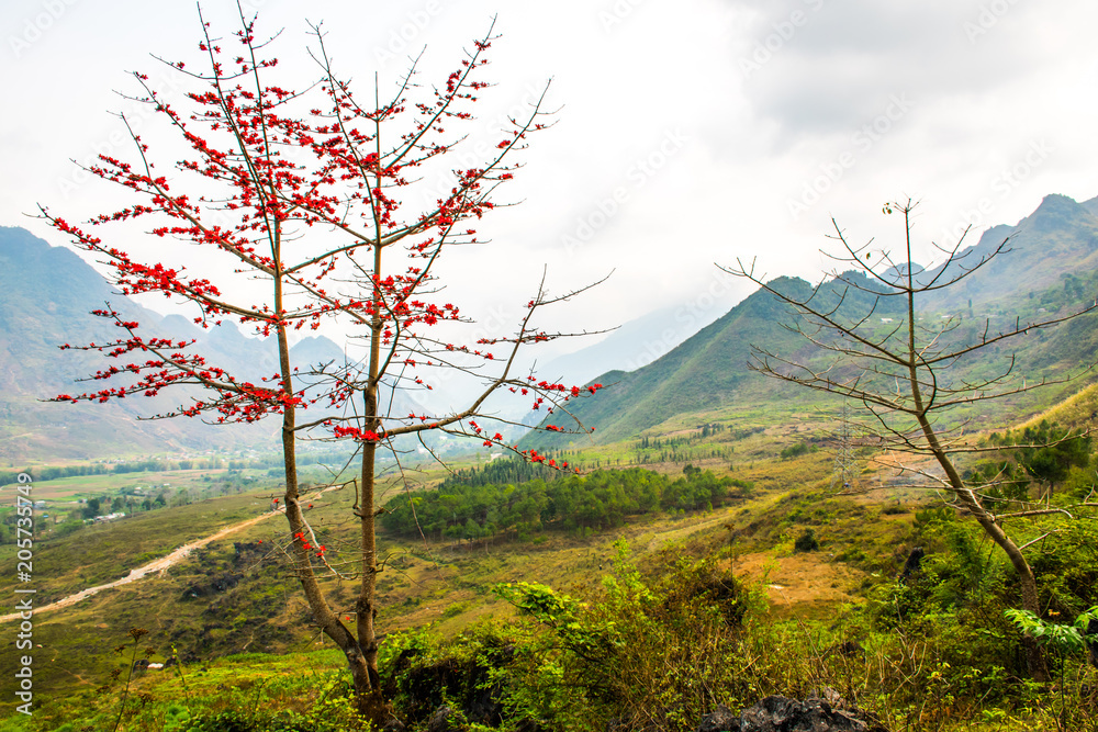 Ha Giang, north extreme loop, North Vietnam, the northern loop, with rice fields, beautuful scenery, villages, and full of motorbikes