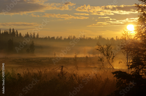 Fototapeta Naklejka Na Ścianę i Meble -  Misty morning