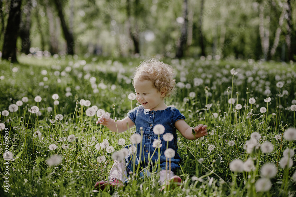 little girl is playing in a meadow among dandelions little girl is playing in a meadow among dandelions