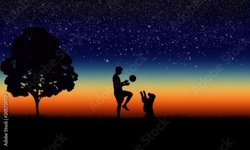 The guy with the ball playing with the dog on the background of a beautiful starry sky and sunset