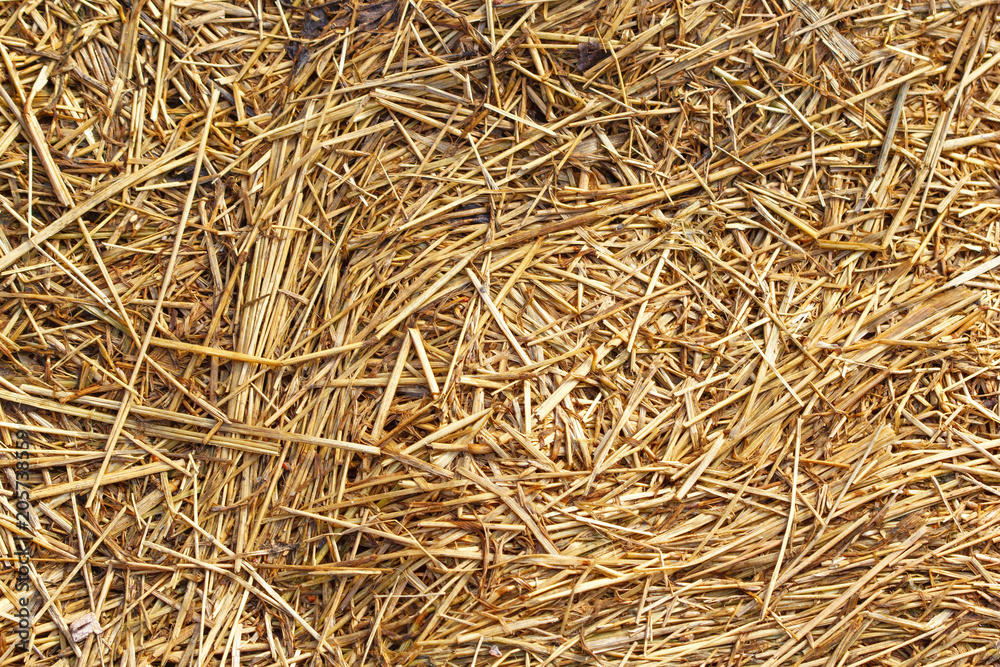 texture of dry straw