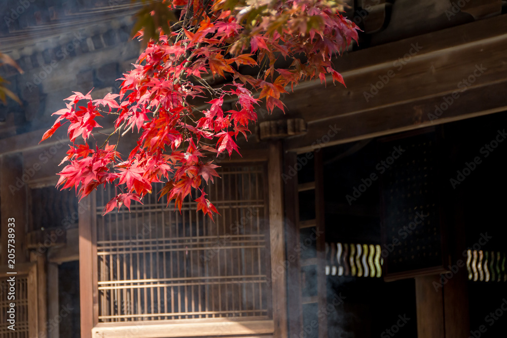 定光寺の紅葉 愛知県瀬戸市 Stock Photo Adobe Stock