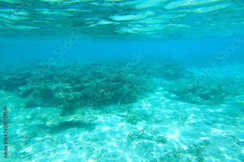 Beautiful view of dead coral reefs . Turquoise water and white sand background. Indian Ocean. Maldive islands. 