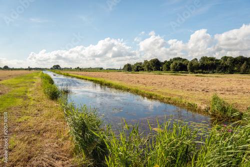 Typical Dutch rural landscape in summertime