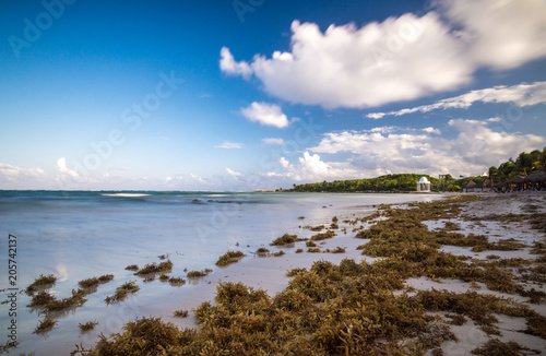 Fototapeta Naklejka Na Ścianę i Meble -  Beach at riviera maya near Cancun and Tulum in Mexico on a sunny afternoon